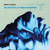 Espen Horne - The Anatomy of Serene Eloquence vinyl cover