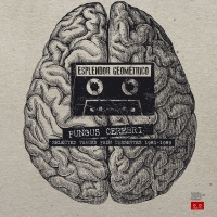 Esplendor Geometrico - Fungus Cerebri: Selected Tracks From Cassettes vinyl cover