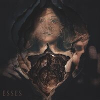 Esses - Pain At The Altar Of Jest vinyl cover