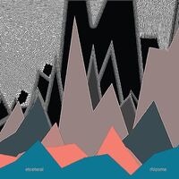 Etceteral - Rhizome vinyl cover