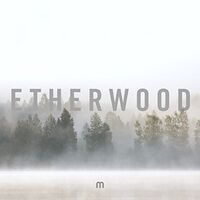 Etherwood - In Stillness vinyl cover
