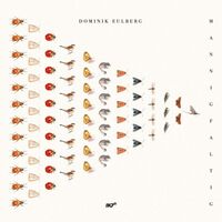Dominik Eulberg - Mannigfaltig vinyl cover