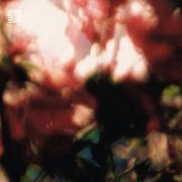 Euphonic Alliances Ltd - Peace Is It In You vinyl cover