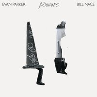 Evan Parker & Bill Nace - Branches vinyl cover