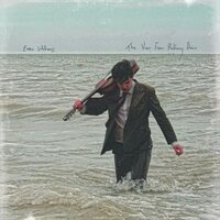 Evan Williams - View From Halfway Down vinyl cover