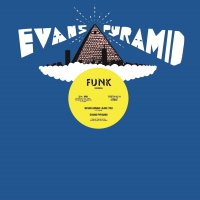 Evans Pyramid - Never Gonna Leave You / Dip Drop vinyl cover