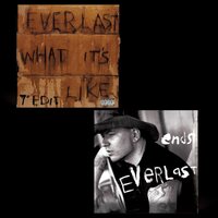 Everlast - What It's Like/Ends vinyl cover