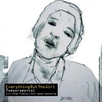 Everything But The Girl - Temperamental vinyl cover