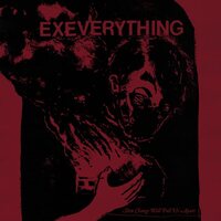 Ex Everything - Slow Change Will Pull Us Apart vinyl cover