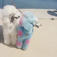 Exek - Advertise Here vinyl cover