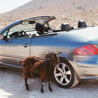 Exek - Prove the Mountains Move vinyl cover