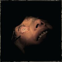 Exhumed - Anatomy Is Destiny vinyl cover