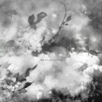 Exitmusic - Recognitions vinyl cover