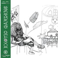 Exotic Gardens - Morning Dubs vinyl cover