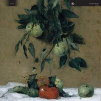 Exploded View - Obey vinyl cover