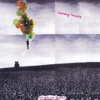 Exploding Flowers - Stumbling Blocks vinyl cover