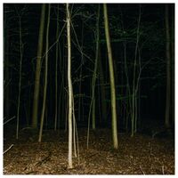 Express Rising - Fixed Rope Ii vinyl cover
