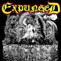 Expunged - Expunged vinyl cover