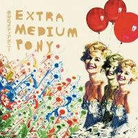 Extra Medium Pony - Meaninglessness vinyl cover