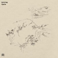Eyvind Kang - Riparian vinyl cover