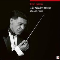 Ezio Bosso - Hidden Room vinyl cover