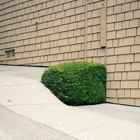 Ezra Feinberg - Soft Power vinyl cover