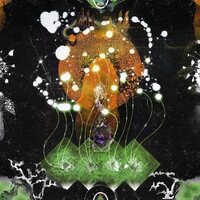 F Ampism - The Vertical Luminous vinyl cover