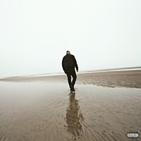 Fabri Fibra - Caos  vinyl cover