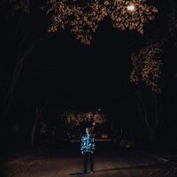 Factor Chandelier - Eastlake vinyl cover