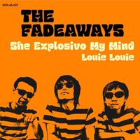 Fadeaways - She Explosivo My Mind