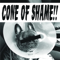 Faith No More - Cone Of Shame Clear vinyl cover