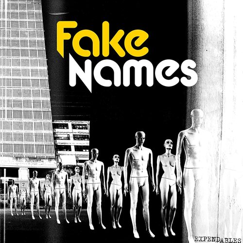 Fake Names - Expendables vinyl cover