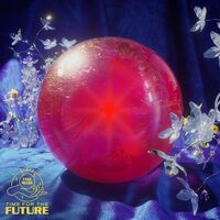 Fake Shark - Time For The Future vinyl cover