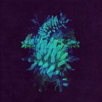 Fakear - All Glows vinyl cover