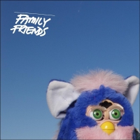 Family Friends - Look The Other Way vinyl cover