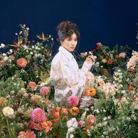 仮谷せいら - Always Fresh vinyl cover