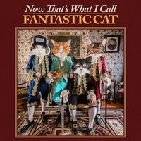 Fantastic Cat - Now That's What I Call Fantastic Cat vinyl cover