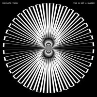 Fantastic Twins - Two Is Not A Number vinyl cover