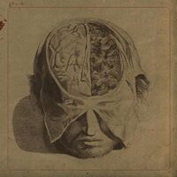 Farsot - Insects vinyl cover