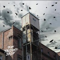Fat Freddy's Drop - Blackbird Returns vinyl cover
