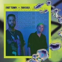 Fat Tony & Taydex - Wake Up vinyl cover