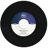 Father Sheed - Wait For You vinyl cover