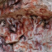 Fauna - Ochre & Ash vinyl cover