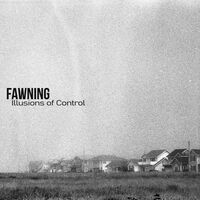 Fawning - Illusions Of Control vinyl cover