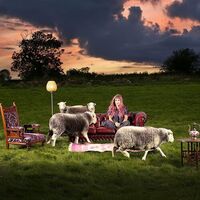 Fe Salomon - Living Rooms vinyl cover