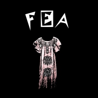 Fea - Zine Ep vinyl cover