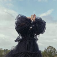 Fears - Oíche vinyl cover