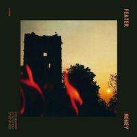 Feater - Money vinyl cover