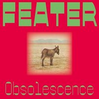 Feater - Obsolescence vinyl cover