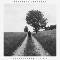 Federico Albanese - Before And Now Seems Infinite vinyl cover